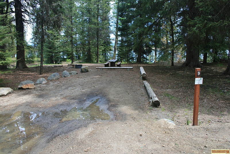 A picture of campsite 9 in Amanita Campground