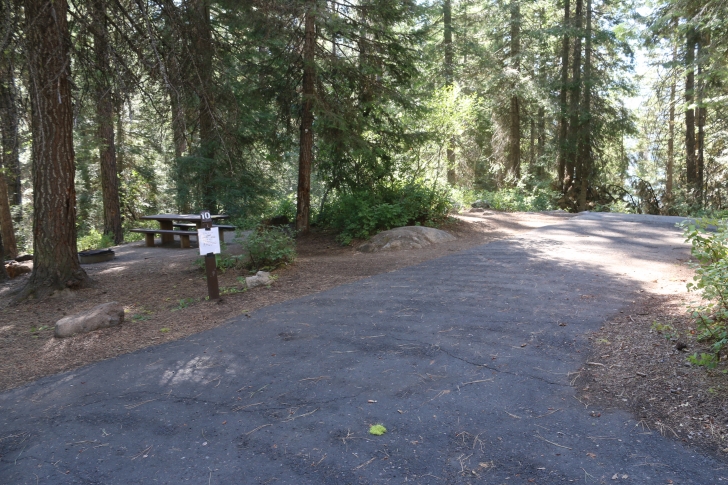 Camping in Antelope campground on Sagehen Reservoir.