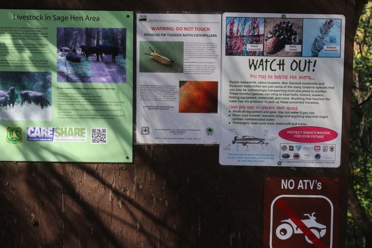 Camping in Antelope campground on Sagehen Reservoir.