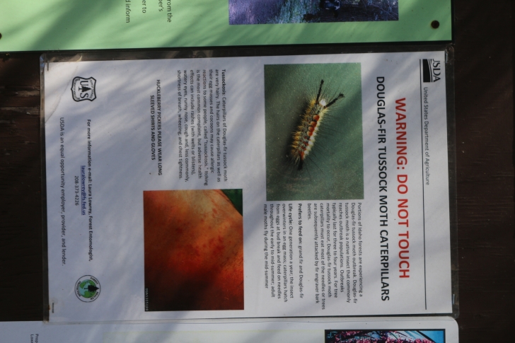 Camping in Antelope campground on Sagehen Reservoir.