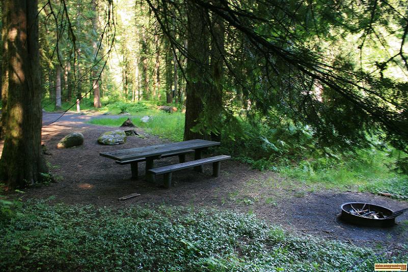 Apgar Campground on the Lochsa River in the Clearwater National Forest