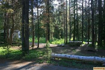 RV camping site in Banner Creek Campground is right next to Banner Creek.