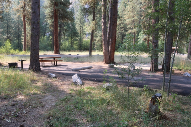 A guide to camping in Baumgartner Campground near Featherville Idaho