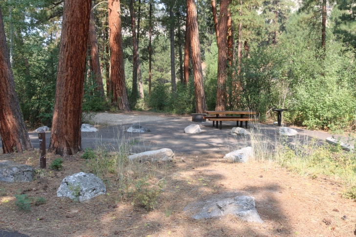 A guide to camping in Baumgartner Campground near Featherville Idaho
