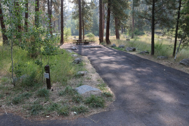 A guide to camping in Baumgartner Campground near Featherville Idaho