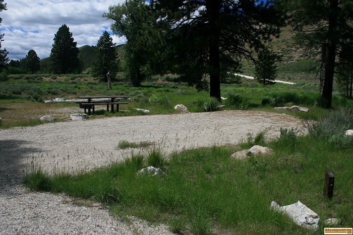 Camping at Baumgartner Campground Site 100.