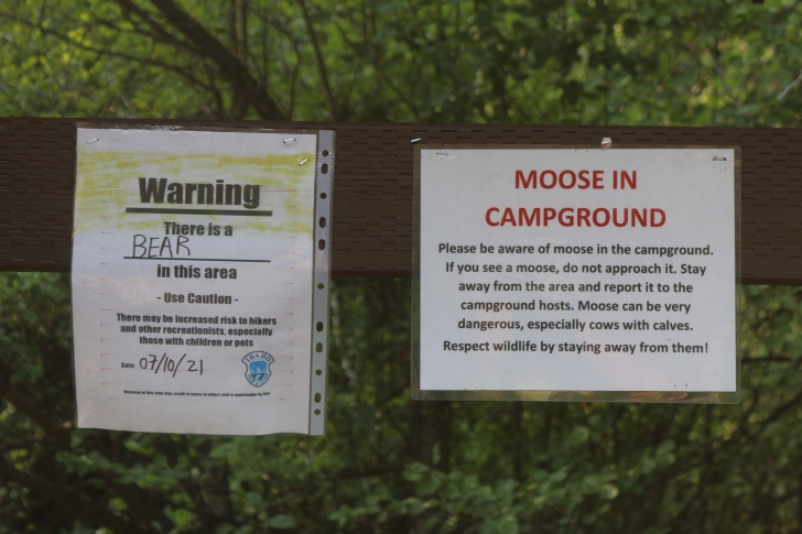 A guide to camping in Baumgartner Campground near Featherville Idaho