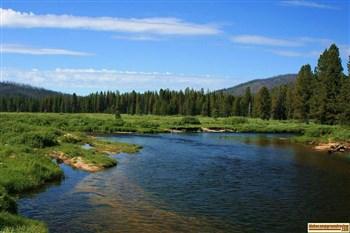 This is where Bear Valley Creek and Elk Creek meet near Bear Valley Campground.