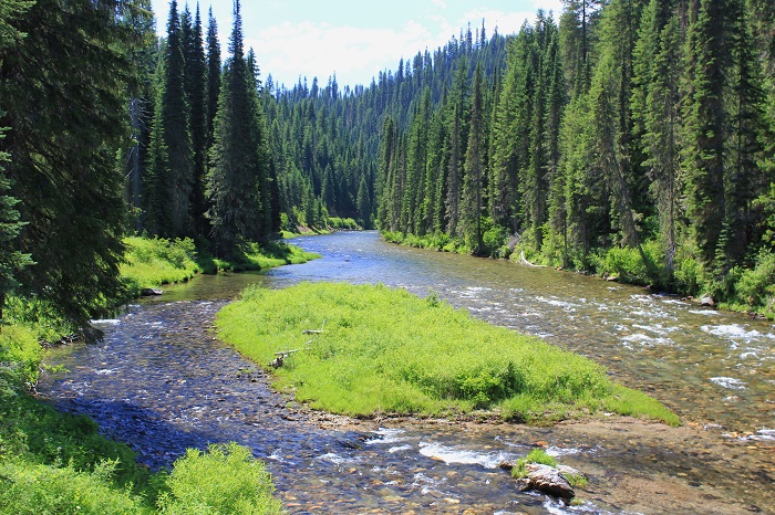 Beaver Creek Camp on the St Joe River
