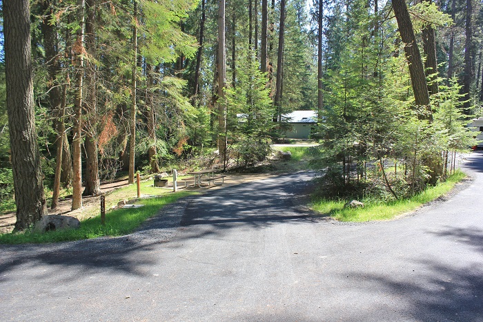 Campsite in Benewah Campground.