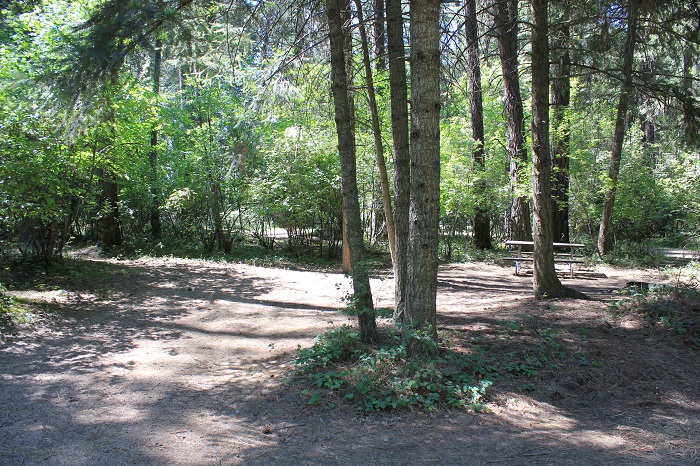 Campsite in Benewah Campground.