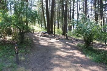 Campsite in Benewah Campground.