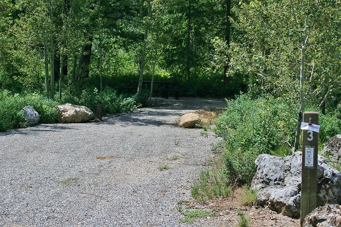 Campsite #3 in Big Elk Creek Campground.