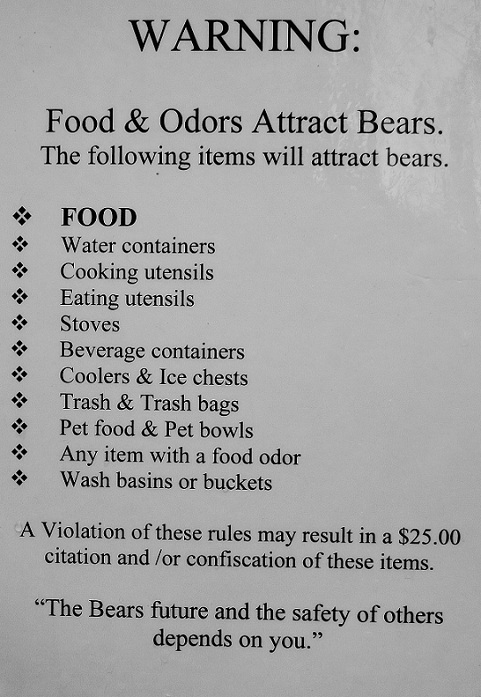 Big Springs Campground