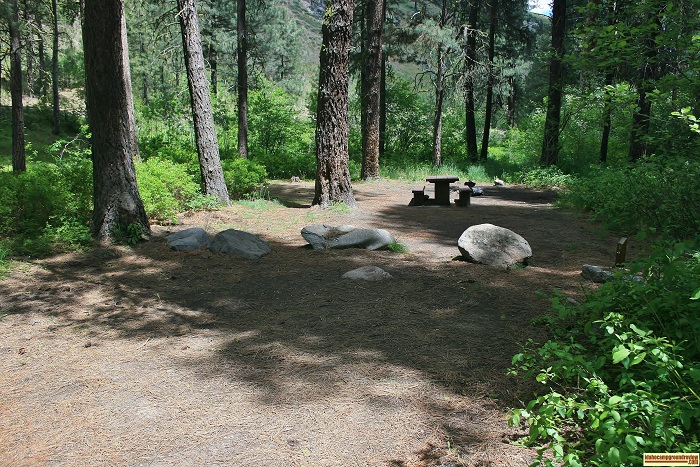 Bird Creek Campground camping, campsite 5.