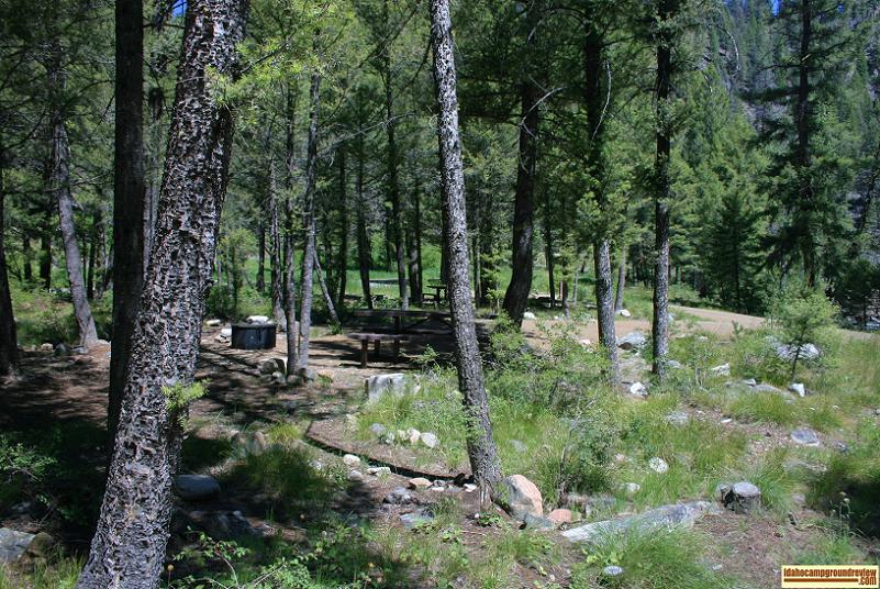 Blind Creek Campground on the Yankee Fork of the Salmon River.
