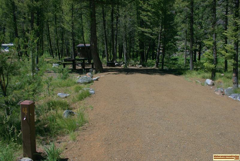 A view one site at Blind Creek Campground on the Yankee Fork of the Salmon River.