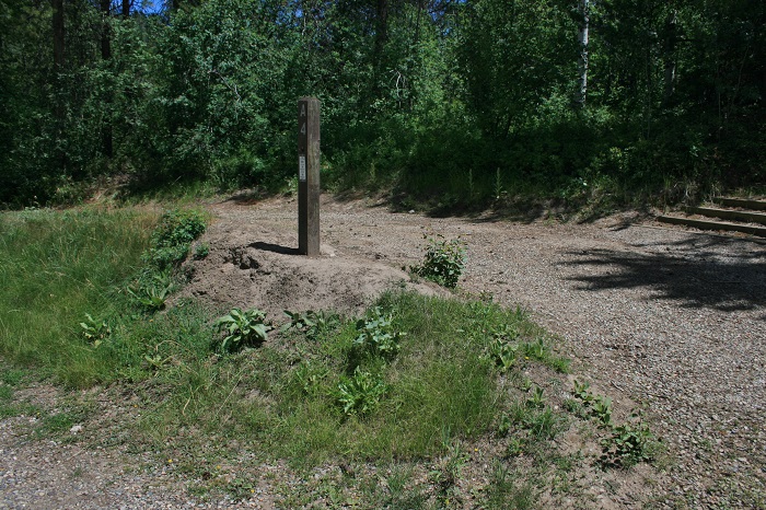 Blowout Campground on Palisades Reservoir.