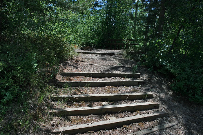 Blowout Campground on Palisades Reservoir