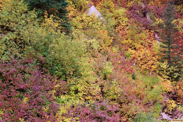 Boiling Springs Campground