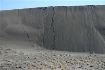 Bruneau Dunes State Park