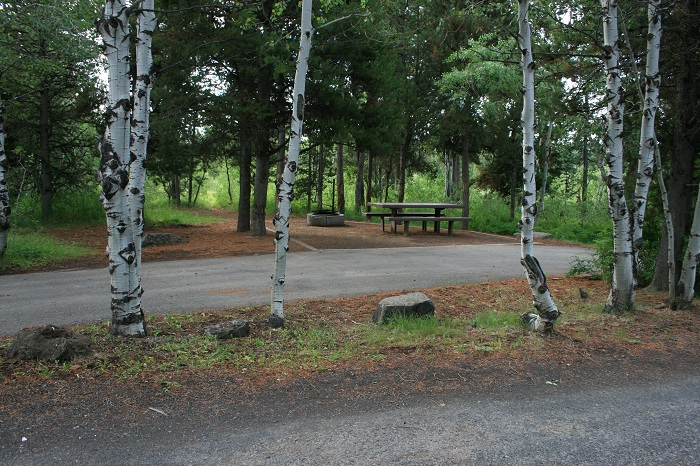 Buffalo Campground near Island Park.