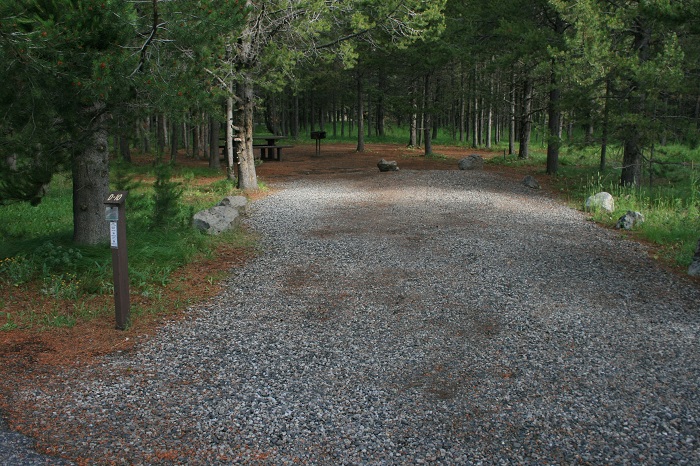 Buffalo Campground near Island Park.
