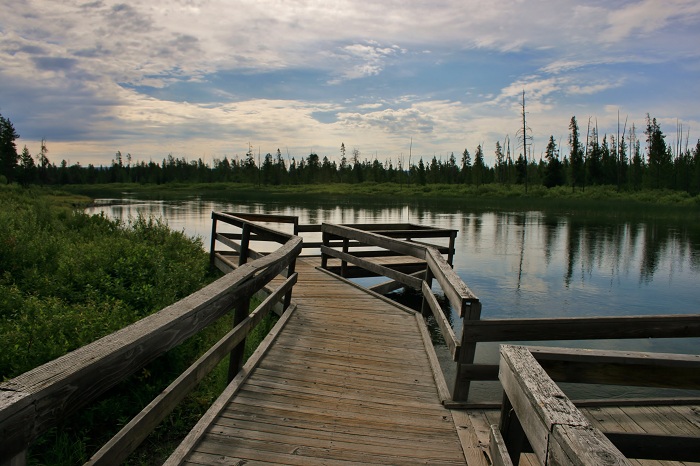 Buffalo Campground near Island Park.