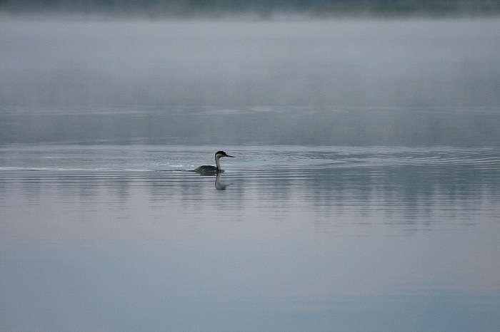 Buttermilk Campground