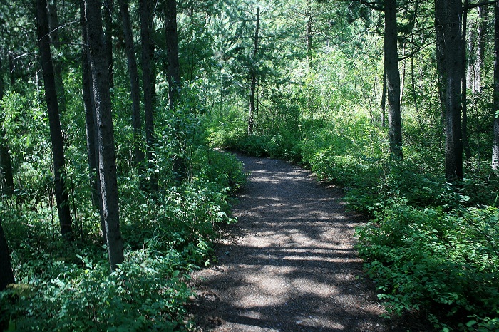 Calamity Campground on Palisades Reservoir.