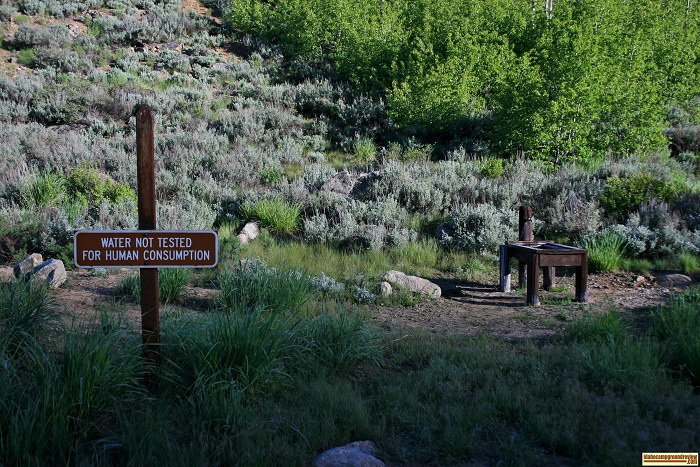 This is the stock water trough at Canyon Creek Transfer Camp on Big Smokey Creek.