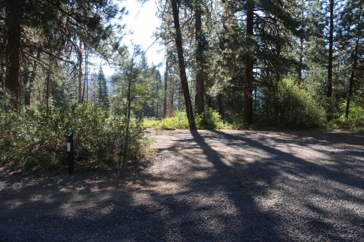Camping at Cartwright Ridge Campground at Sagehen Reservoir.