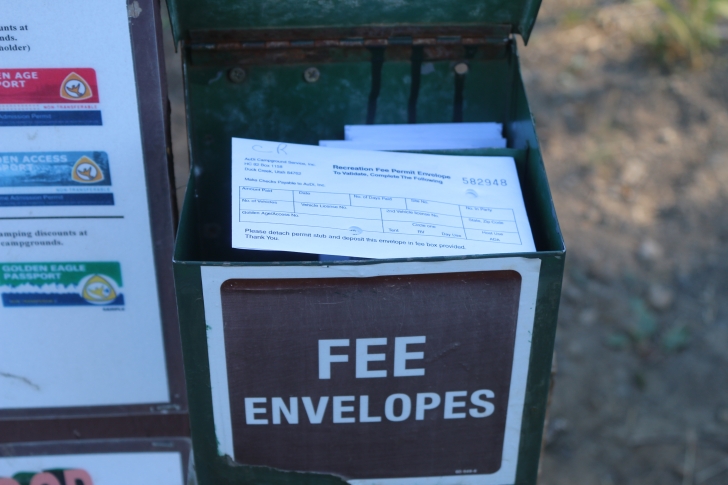 Camping at Cartwright Ridge Campground at Sagehen Reservoir.