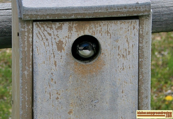 Check out this little bird.