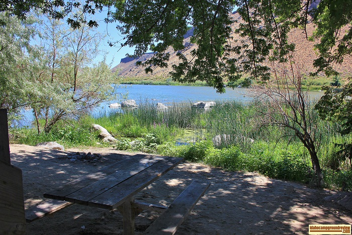 Celebration Park picnic area.