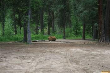 Chaparral Campground camping, nearby free primitive camping