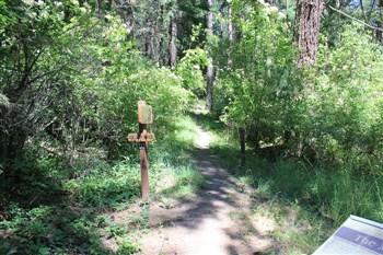 Chatcolet Campground, part of Heyburn State Park, signs in information.