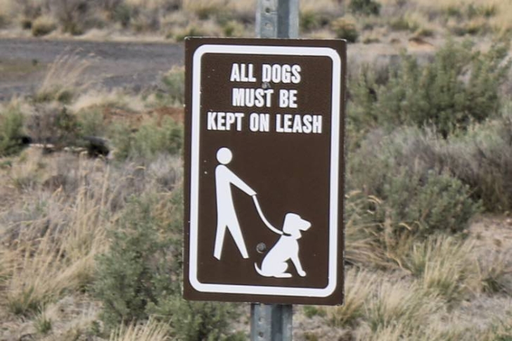 A guide to camping at Chickahominy Recreation Site - Oregon