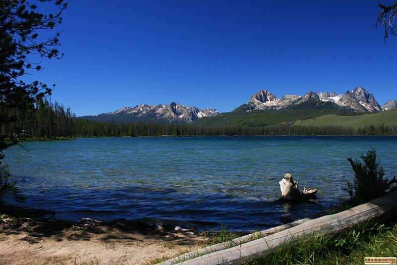 Chinook Bay Campground on Little Redfish Lake