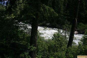 Cold Springs Campground