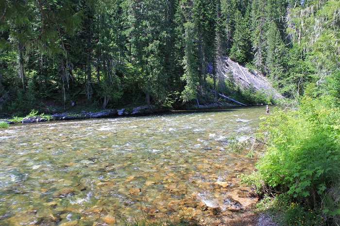 The St Joe River at Conrad Crossing Campground.