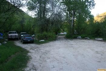 cottonwood forest camp