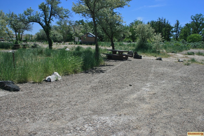 Cottonwood Park campsite 16.