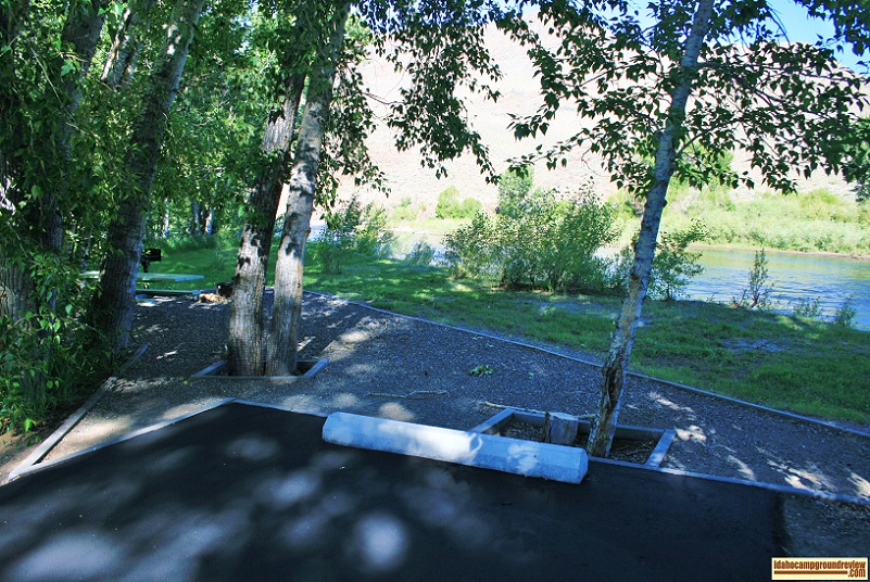 Salmon river runs right by Cottonwood Recreation Site.
