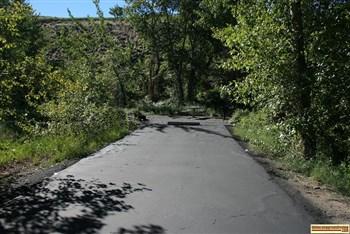 Here is a view of a typical site away from the Salmon River in Cottonwood Recreation Site.