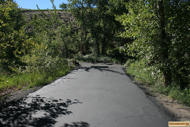 Here is a view of a typical site away from the Salmon River in Cottonwood Recreation Site.