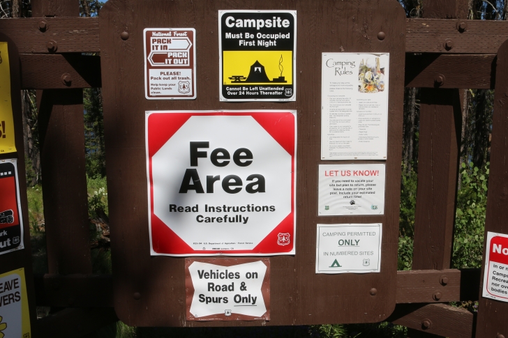 Camping at Cozy Cove Campground on Deadwood Reservoir