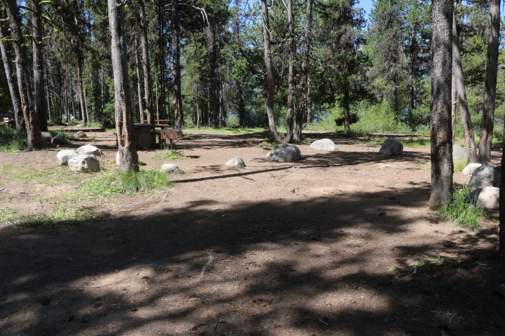 Camping at Cozy Cove Campground on Deadwood Reservoir
