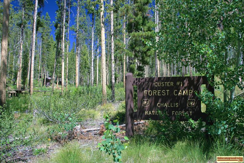 Custer #1 Campground on the Yankee Fork of the Salmon River.
