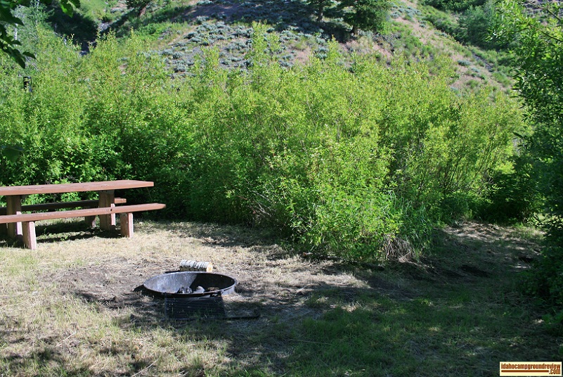 Deer Creek Campground near Ketchum, Idaho.